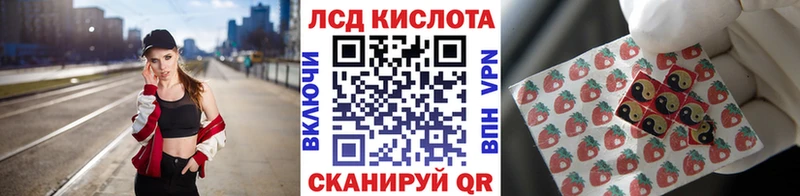 блэк спрут сайт  Карачаевск  Марки NBOMe 1,8мг 