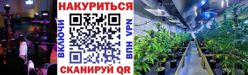 Бошки Шишки SATIVA & INDICA  где найти   Карачаевск 